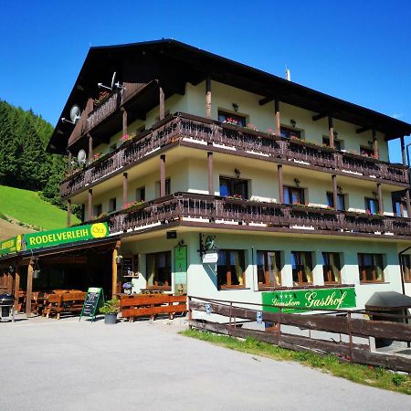 Pension Gemshorn 海因岑贝格 外观 照片
